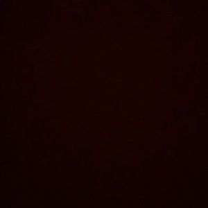 Meet your Posher, Daniela